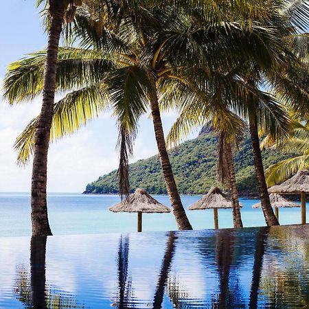 Beach Club (Adults Only) เกาะแฮมิลตัน ภายนอก รูปภาพ