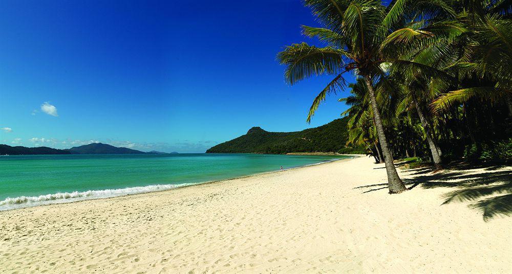 Beach Club (Adults Only) เกาะแฮมิลตัน ภายนอก รูปภาพ